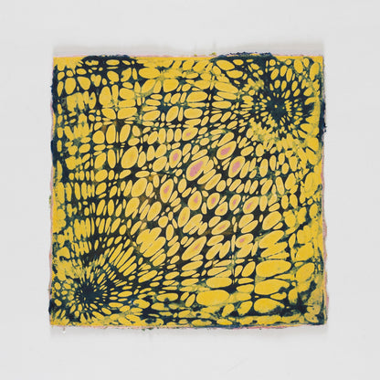 Katia Santibañez, Untitled