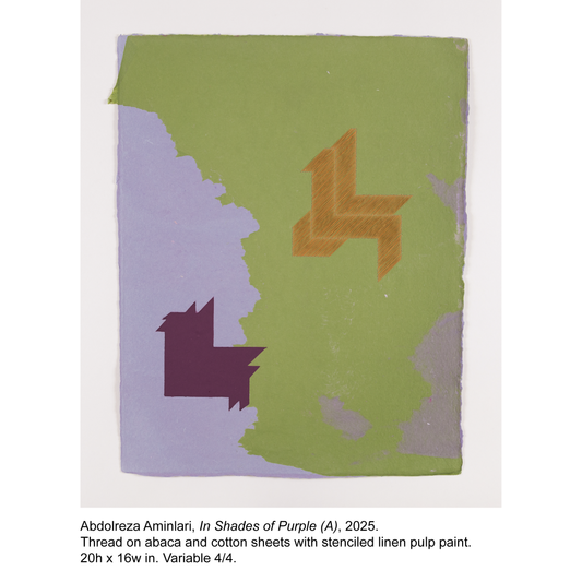 Abdolreza Aminlari - In Shades of Purple (A) - 4/4