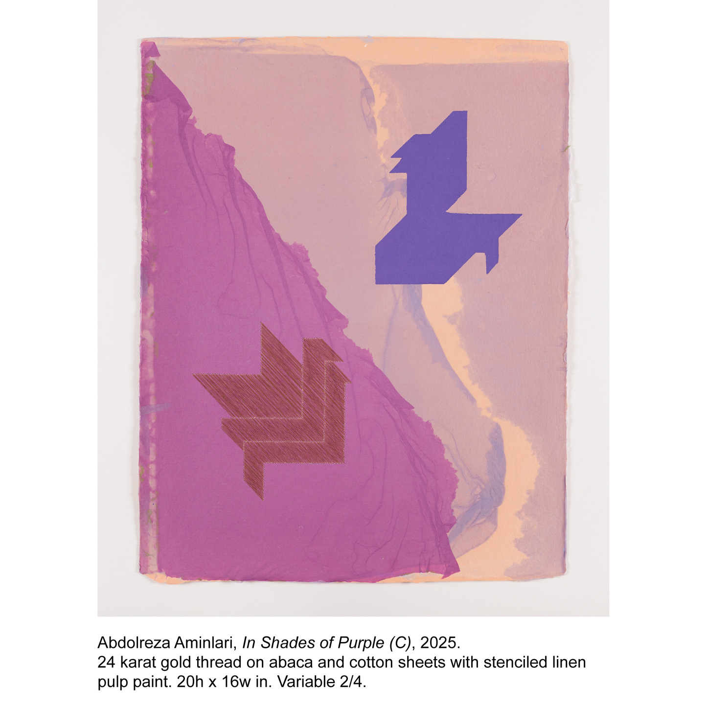 Abdolreza Aminlari - In Shades of Purple (C) - 2/4