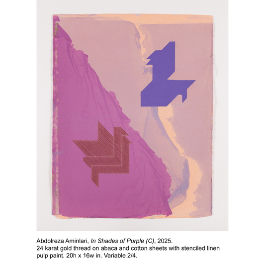 Abdolreza Aminlari - In Shades of Purple (C) - 2/4