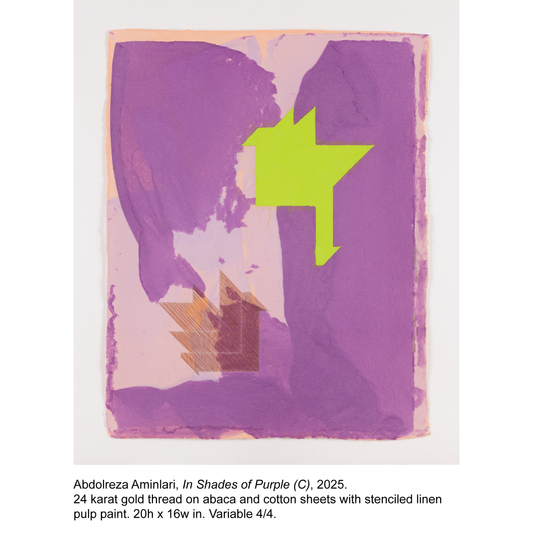 Abdolreza Aminlari - In Shades of Purple (C) - 3/4