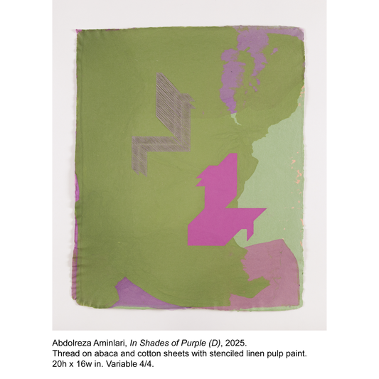Abdolreza Aminlari - In Shades of Purple (D) - 4/4